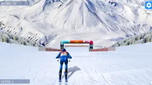 Alpine skiing champion