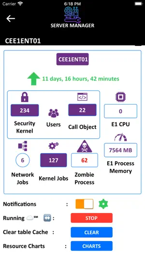 E1 Server Manager