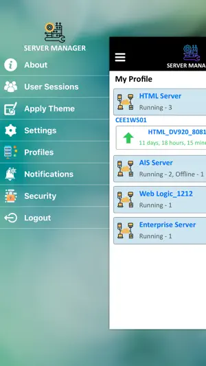 E1 Server Manager