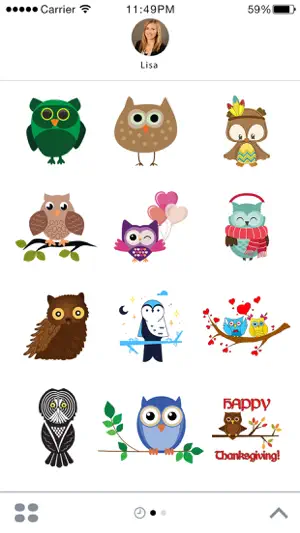 Cute Owl Stickers - Thanksgiving Owls for iMessage