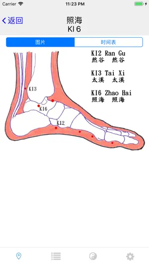 子午灵龟