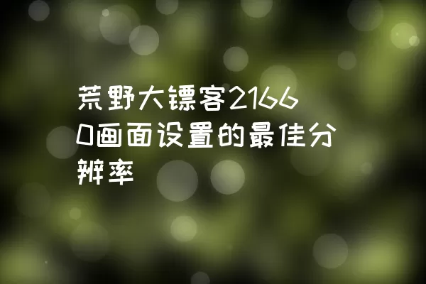 荒野大镖客21660画面设置的最佳分辨率